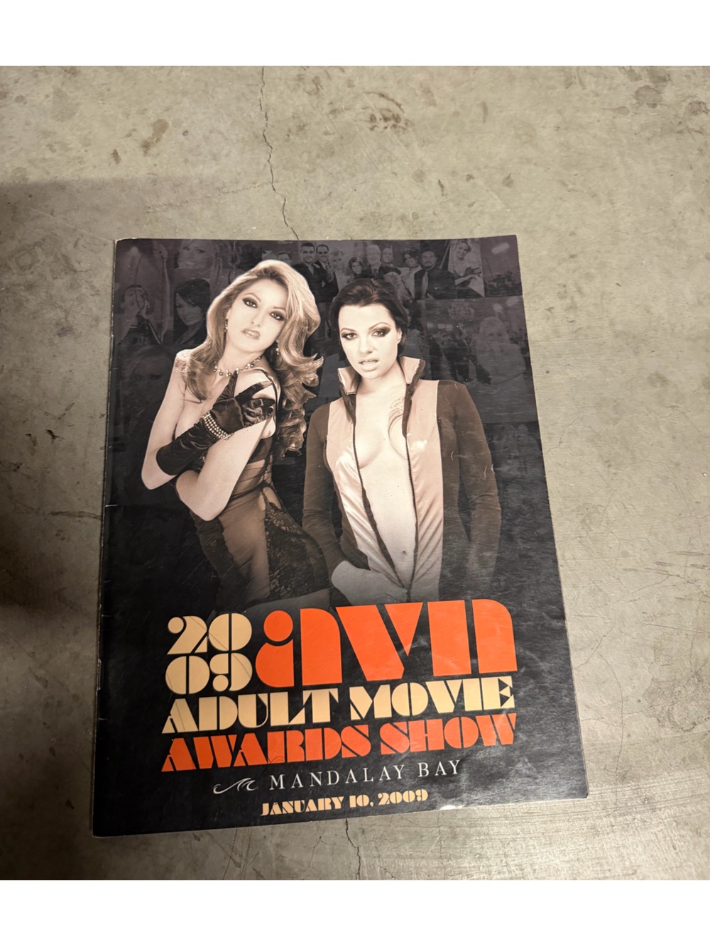 2009 AVN  Movie Awards Poster